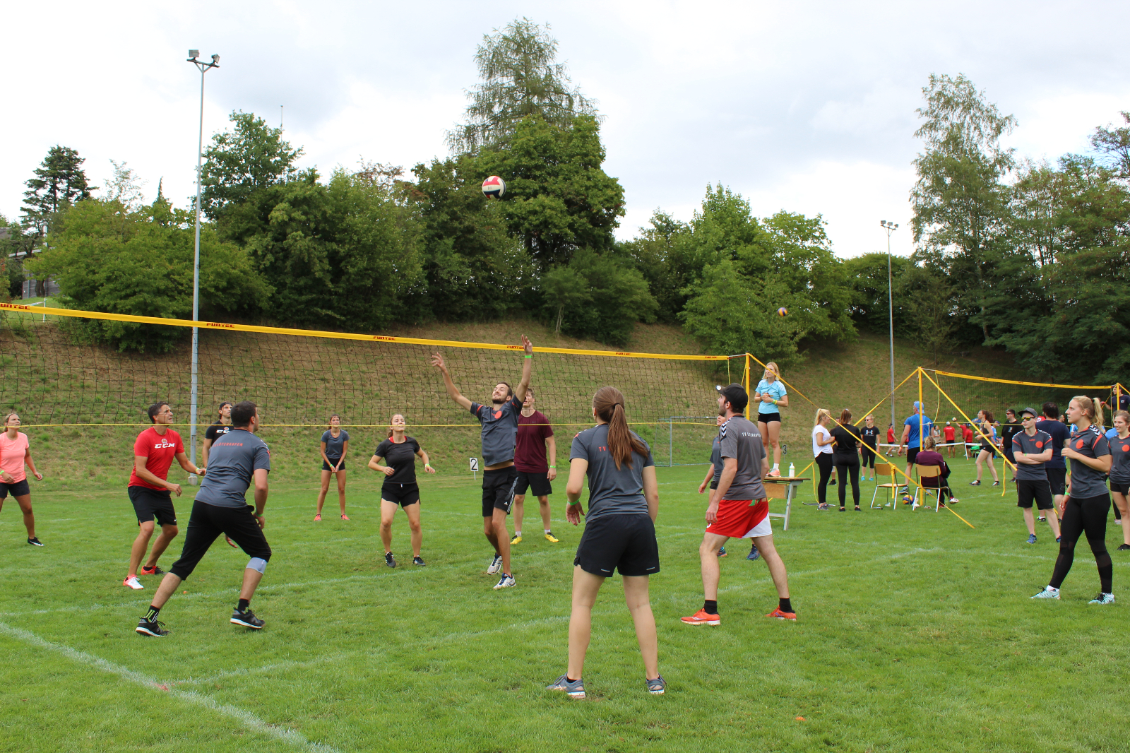 Volley  (68)